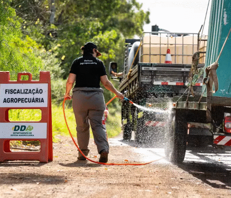 Agricultura deve pedir reforço de R$ 100 milhões para combate à gripe aviária