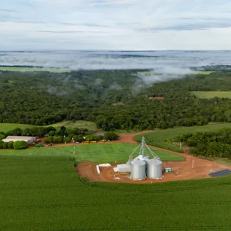 Etanol de milho: a energia limpa que nasce nas lavouras de Mato Grosso