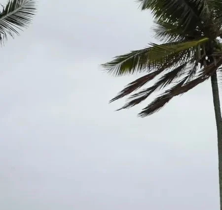 Ciclone e frente fria trazem chuva de até 100 mm; veja quando e onde