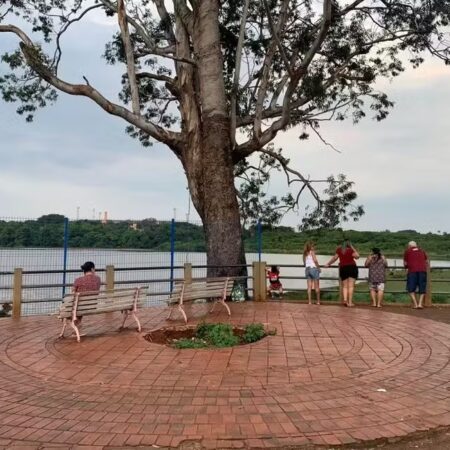 Relatório aponta 15 barragens com alto risco de rompimento em MS
