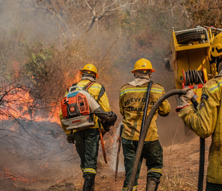 Brasil registra queda de 65,8% nas áreas queimadas e de 46,4% dos focos de calor em 2025