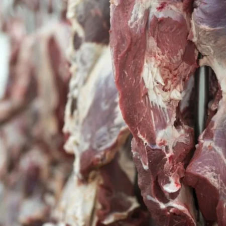 Preço da carne bovina atinge novo recorde nos Estados Unidos