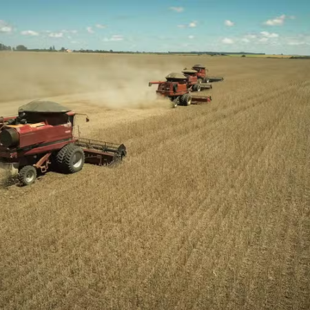 Preço da soja sobe no Brasil impulsionado pelo mercado externo