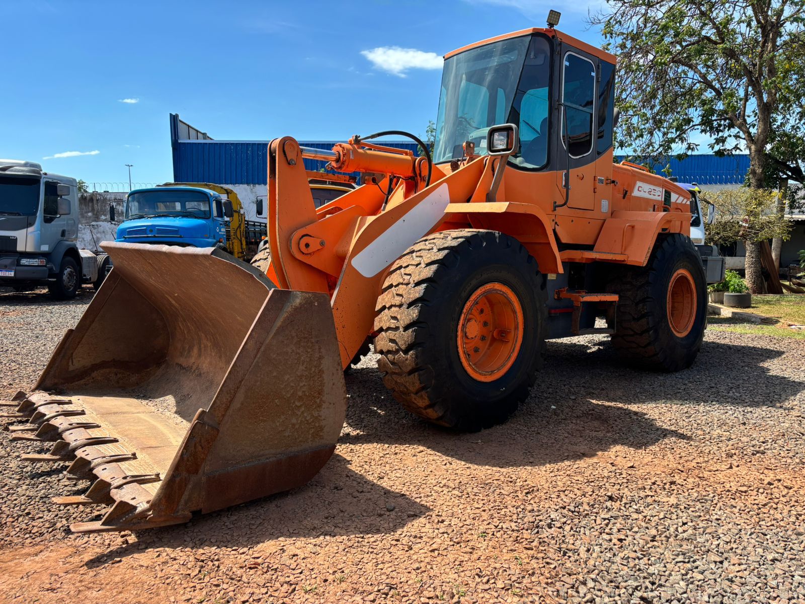 WhatsApp Image 2026-02-04 at 08.59.13