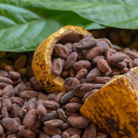 Cacau e café recuam em Nova York com pressão da oferta