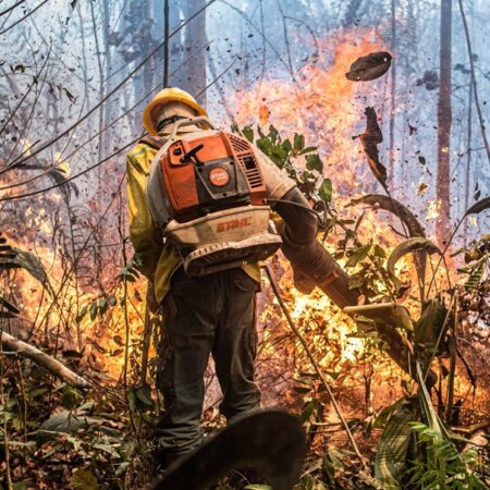 Brasil bate recorde de investimento no combate ao desmatamento e incêndios