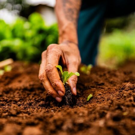 Governo Federal cumpre agenda oficial em Mato Grosso do Sul