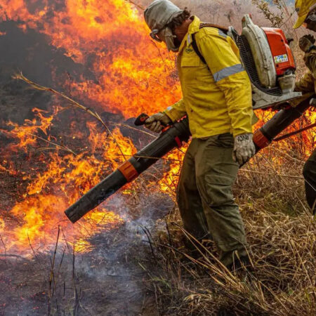 Governo amplia verba para enfrentamento do desmatamento e incêndios florestais