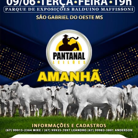 51º Leilão de Corte Pantanal Leilões