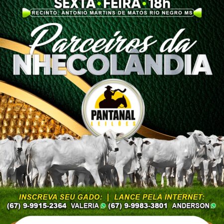 14º Leilão Especial Parceiros da Nhecolândia