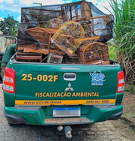 Operação resulta em R$ 850 mil em multas por crimes ambientais