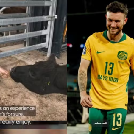 Jogador da Austrália liga futebol ao agronegócio e já fez parto de vaca
