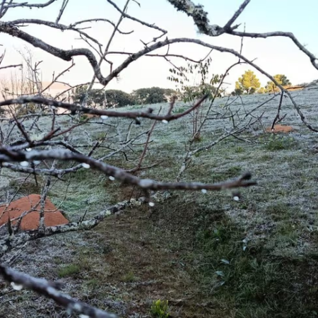 Inverno começa neste domingo (21) e traz ar seco e alerta para o campo