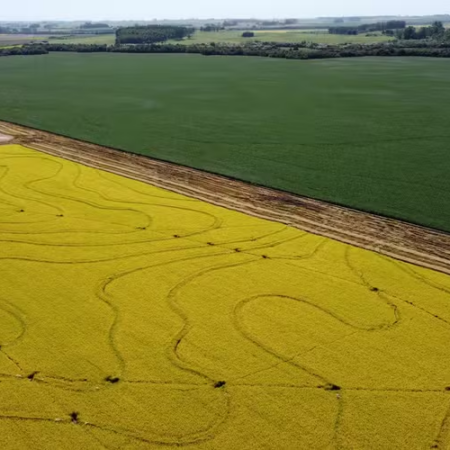 Rotação com soja reduz emissões do arroz em até 54% no RS