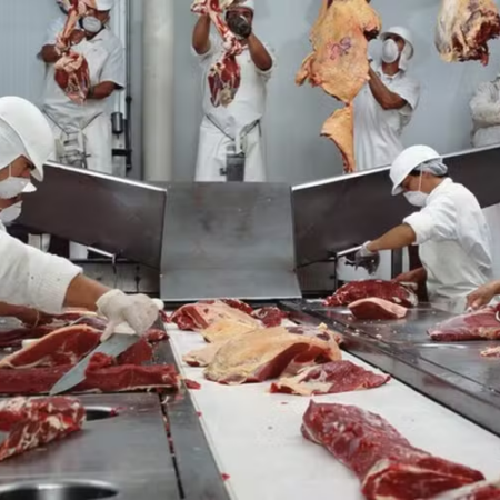 Frigoríficos reduzem abates após limite da cota chinesa