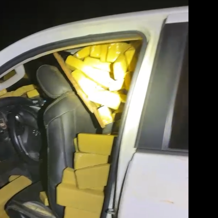 VÍDEO: PMA retira 2 toneladas de droga de circulação