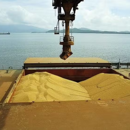 Mercado interno impulsiona preços da soja