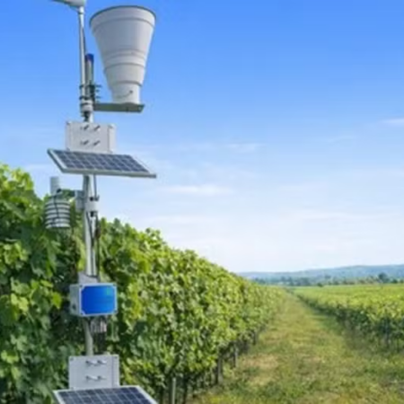 Sistema auxilia produtores a prever oferta de água e planejar irrigação