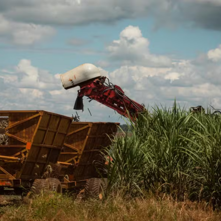 Chuvas interrompem colheita e mexem com mercado de açúcar e etanol