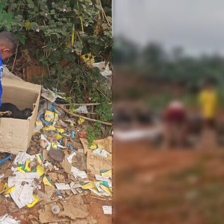 Moradores denunciam abandono de cães e acúmulo de lixo no Tarumã