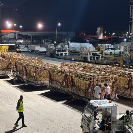 Girolando brasileiro é exportado pela primeira vez para Botswana
