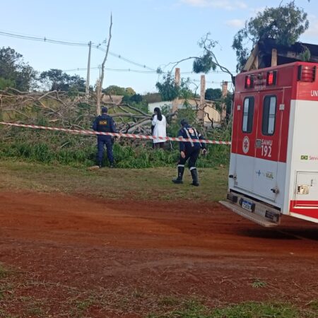 Trabalhador morre após ser atingido por eucalipto em Anhanduí
