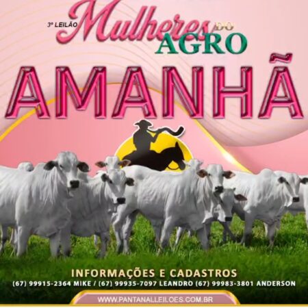3º Leilão Mulheres do Agro