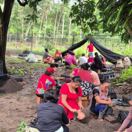 Mulheres da Amazônia criam soluções para enfrentar mudanças climáticas