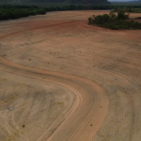 Fim da Moratória da Soja ameaça ampliar desmatamento na Amazônia