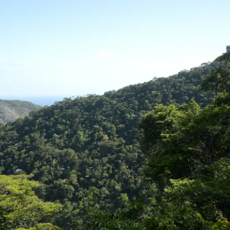 Plano de Transformação Ecológica mobiliza mais de R$ 500 bilhões no Brasil