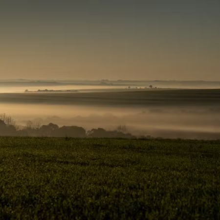 El Niño e custos elevados derrubam plantio de trigo no Brasil