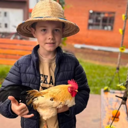 Aos 7 anos, menino troca coleção de carrinhos por garnizés e cria mais de 20 aves