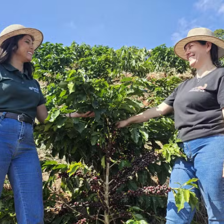 Café especial impulsiona renda e turismo rural em Minas Gerais