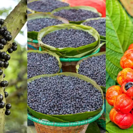 Três frutas do Brasil estão entre as 100 melhores do mundo