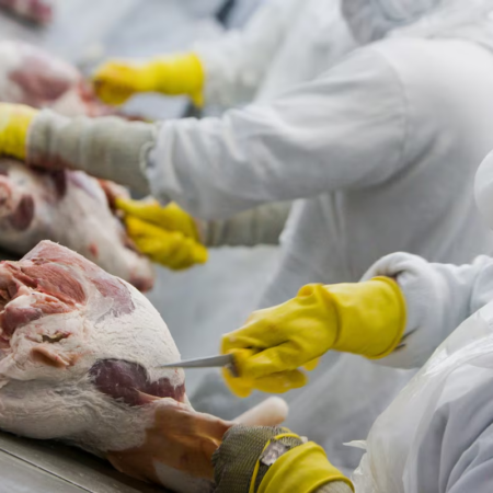 Brasil busca atender exigências europeias sobre uso de antimicrobianos na produção animal