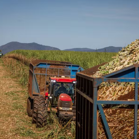 Açúcar mantém estabilidade no Brasil, mas etanol recua com aumento da oferta