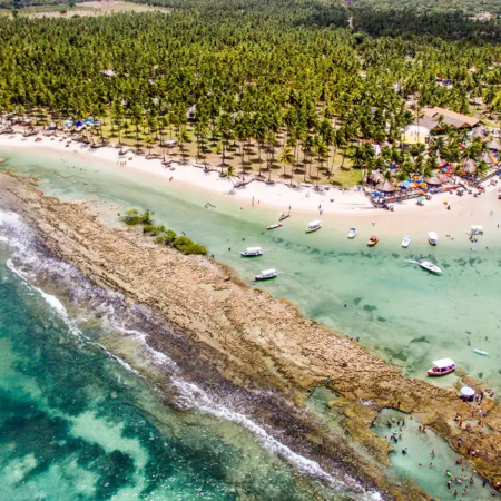 Ruído de embarcações prejudica comunicação dos peixes em áreas turísticas