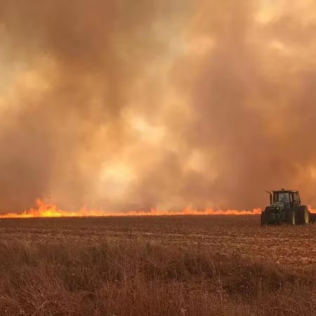 El Niño acende alerta para produção agrícola e preços dos alimentos