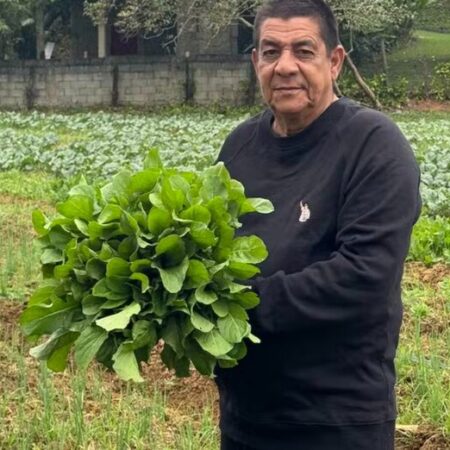 Horta criada por Instituto Zeca Pagodinho fortalece combate à fome
